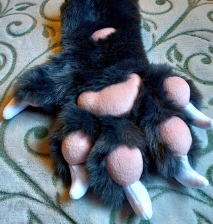 Mitten Paw Example
